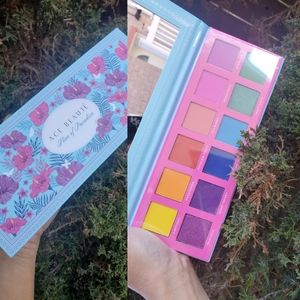 Ace Beauté Slice of Paradise Rainbow Eyeshadow palette